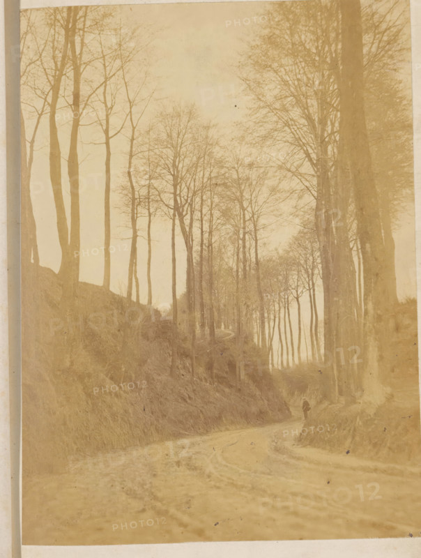 Dirt road between avenue of trees, photograph, page, c. 1869 - in or before 1871, photographer, paper, albumen print, height 173 mm x width 130 mm, forest path or lane (landscape with figures, staffage), A sepia-toned photograph of a dirt road winding upward between tall, leafless trees on sloped embankments, with slender trunks and fine bare branches forming a canopy overhead; the embankments are covered in grasses and undergrowth, and a solitary figure stands on the road near the right side of the image, partially silhouetted against the lighter background.