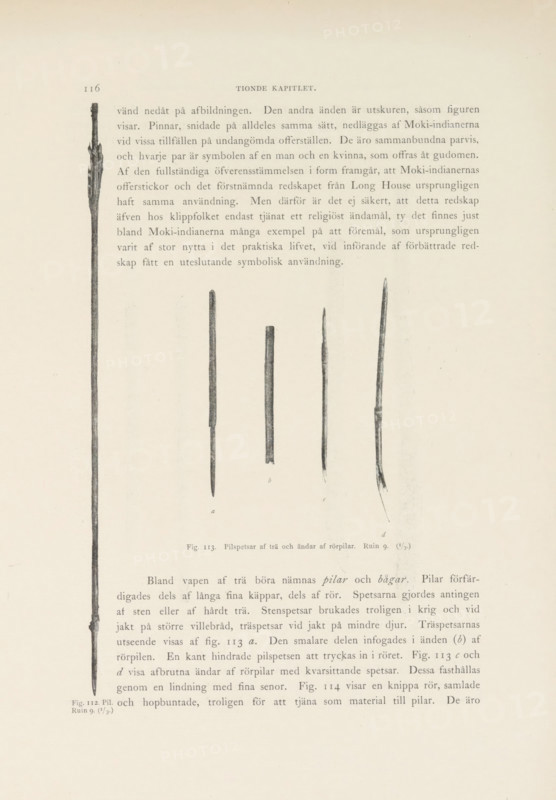 Pill. Ruin 9. Pilspetar af trä och änder af rörpilar. Ruin 9, Arrow and arrowheads found in Mesa Verde National Park, page, photomechanical print, number: 'Fig. 112. Fig. 113.', photographer: Gustaf Nordenskiöld (possibly), Mesa Verde National Park, cliché maker: Angerer & Göschl, C., Vienna, c. 1891 - in or before 1893, North America, Lower Austria, Colorado, paper, autotypie, height 365 mm x width 270 mm, Prints on page 116., archer's weapons: arrow, A faded page showing five long, narrow wooden shafts arranged vertically across the center, each with different tip shapes and textures, the leftmost shaft nearly reaching the top and bottom edges and appearing darker and more irregular, the other four clustered toward the middle with slender, tapered ends and subtle surface variations, light paper background with faint printed lines of text above and below the shafts, and small faint labels beneath the clustered shafts.