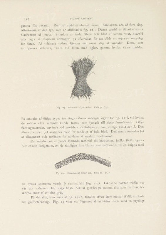 Hårborste af yucca leaf. Ruin 9, Brush or broom of Yucca leaves found in the Mesa Verde National Park, page, photomechanical print, number: 'Fig. 123.', photographer: Gustaf Nordenskiöld (possibly), Mesa Verde National Park, cliché maker: Angerer & Göschl, C., Vienna, c. 1891 - in or before 1893, North America, Lower Austria, Colorado, paper, autotypie, height 60 mm x width 40 mm, shrubs: broom, A faded page with a central vertical drawing of a tied bundle of thin, strawlike fibers with frayed ends, a smaller curved braided rope illustration below, and multiple blocks of printed text above, beside, and below the images, all on an off-white background.