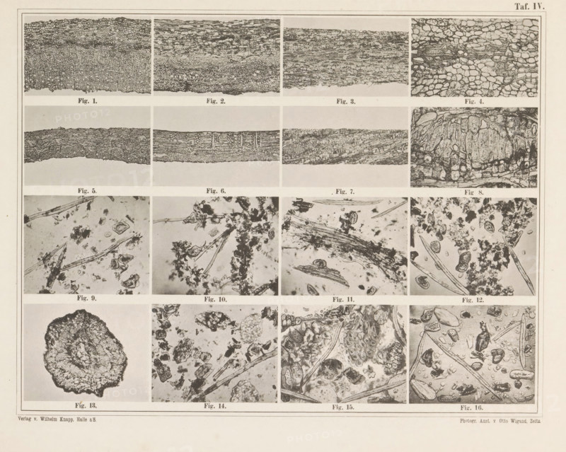 Sheet with sixteen microscopic images of cinnamon, page, photomechanical print, number: 'Taf. IV.', photographer: attributed to Franz Friedrich Bernard Elsner, cliché maker: Wigand, Photographische anstalt Otto, Zeitz, publisher: Wilhelm Knapp Verlag, Halle an der Saale, c. 1874 - in or before 1884, Saxony-Anhalt, Attributed to, paper, collotype, photoprint, height 231 mm x width 305 mm, Image after page 8., microscope, (non-fruit) products of plants or trees: cinnamon, A large rectangular sheet divided into a grid of smaller rectangular framed panels, each panel containing a black-and-white photographic or engraved close-up of textured organic or geological patterns; the top row shows horizontally oriented layered and cellular structures, the middle rows display scattered fragments, fibrous strands, and irregular clumps against light backgrounds, and the bottom row includes a dark irregular rounded mass and more scattered particulate and fibrous debris; thin lines separate each panel ...