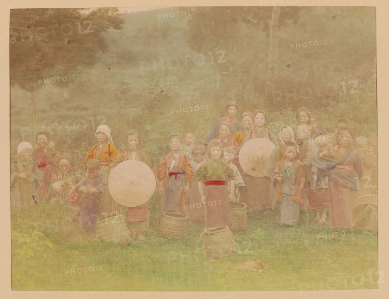 Group portrait of tea pickers, photograph, page, Japan, c. 1887 - in or before 1897, photographer, colorer (graphic design artist), paper, albumen print, hand coloring, photographie peinte, height 187 mm x width 244 mm, Photo for page 195., working class, labourers, anonymous historical persons depicted in a group, in a group-portrait, child labor, A faded group portrait of people standing outdoors in front of trees and foliage, many wearing traditional clothing and head coverings in muted colors, several holding round umbrellas and woven baskets at their feet, with children and adults arranged across the width of the scene and a grassy foreground.