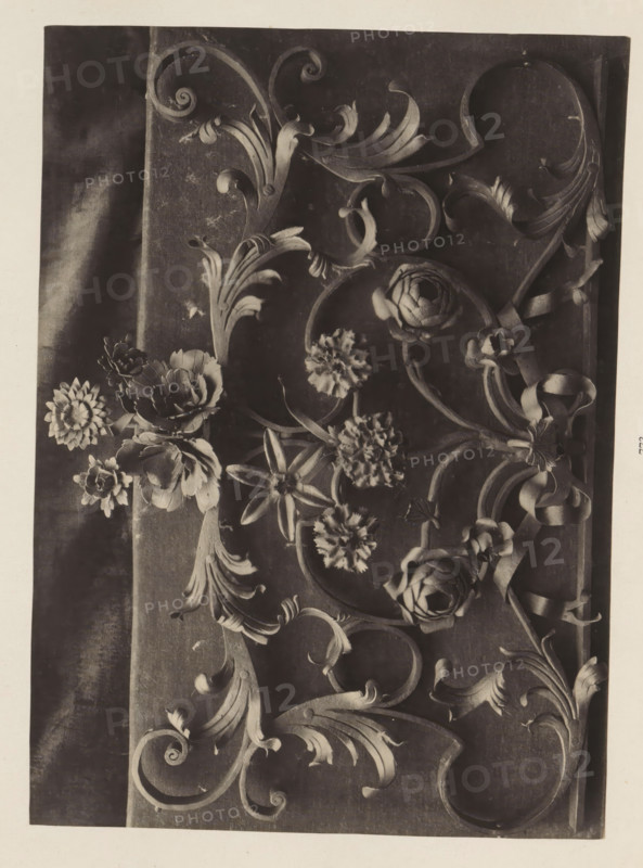 Wrought iron work with flowers from the collection of Antonin Terme, photograph, page, Liège, c. 1880 - in or before 1885, photographer, paper, platinum process, height 159 mm x width 221 mm, art collection, art gallery, A close-up grayscale photograph shows an ornate decorative panel with carved swirling acanthus leaves, curling scrolls, and ribbon-like elements arranged across a dark rectangular background, interspersed with sculpted flowers including layered rosettes, star-shaped petals, and ruffled blossoms; the carved elements cast soft shadows and sit against a textured fabric or surface that runs vertically along one side, with the whole composition framed by a lighter border.
