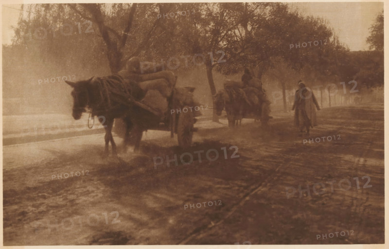 Away with a horse-drawn cart, page, photomechanical print, photographer: Donald Mennie, Beijing, cliché maker: anonymous, c. 1915 - in or before 1920, paper, rotogravure, height 183 mm x width 279 mm, road, path, trees, two-wheeled, animal-drawn vehicle, A sepia-toned scene showing a muddy road lined with trees and a shallow stream of water, two horse-drawn carts loaded with large bundled sacks moving along the road, a person walking beside the second cart wearing a long coat or cloak, a driver seated on the nearer cart holding the reins, trees with dense foliage in the background, damp ground with visible wheel ruts and splashed water around the horses' hooves.