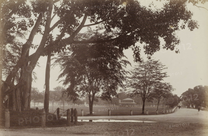 Esplanade, S.pore, Park with walkers in Singapore, album page, photograph, Part of Album with 50 photos of a trip through Southeast Asia., negative number: '24', check stamp: 'GR Lambert Singapore', photographer: GR Lambert & Co., Singapore, c. 1870 - c. 1900, paper, albumen print, height 209 mm x width 274 mm, public gardens, park, avenue, boulevard, promenade, A wide park scene viewed through large tree trunks and overhanging branches in the foreground, with leafy canopies creating dark silhouettes against a pale sky, a grassy lawn bordered by short posts connected with chains, several medium-sized trees spaced across the lawn, a pavilion-like building with a low roof set back near the center, a pathway running alongside the lawn with a few blurred figures walking along it, and a shallow puddle reflecting part of the scene in the foreground.