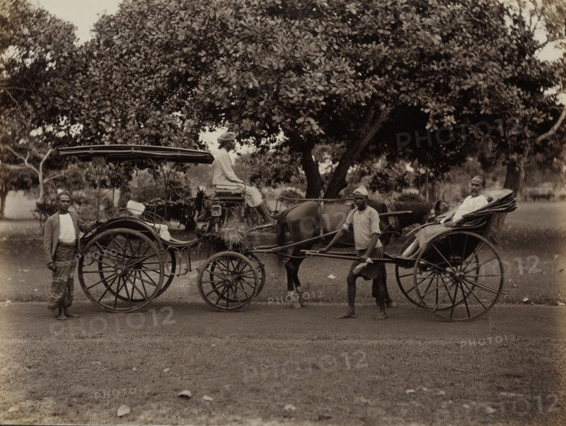 Horse and carriage and rickshaw, possibly in Ceylon, album page, photograph, Part of Album with 50 photos of a journey through Southeast Asia., Sri Lanka, c. 1860 - c. 1900, photographer, South Asia, paper, albumen print, height 210 mm x width 280 mm, animal traction, animal-drawn vehicle (carriage etc.), rickshaw, A sepia-toned scene showing a horse-drawn carriage with a canopy and large wooden-spoked wheels parked on a dirt path in front of dense trees; a seated man wearing light clothing and a turban sits on the carriage driver's elevated seat holding reins while a horse stands hitched to the vehicle; a man in a light shirt and headwrap stands beside the horse holding one of the carriage shafts; another man wearing a patterned lower garment and a jacket stands barefoot next to the rear wheel on the left side; a bearded man reclines in the passenger seat on the right side of the carriage; grass and scattered leaves cover the ground in the foreground.