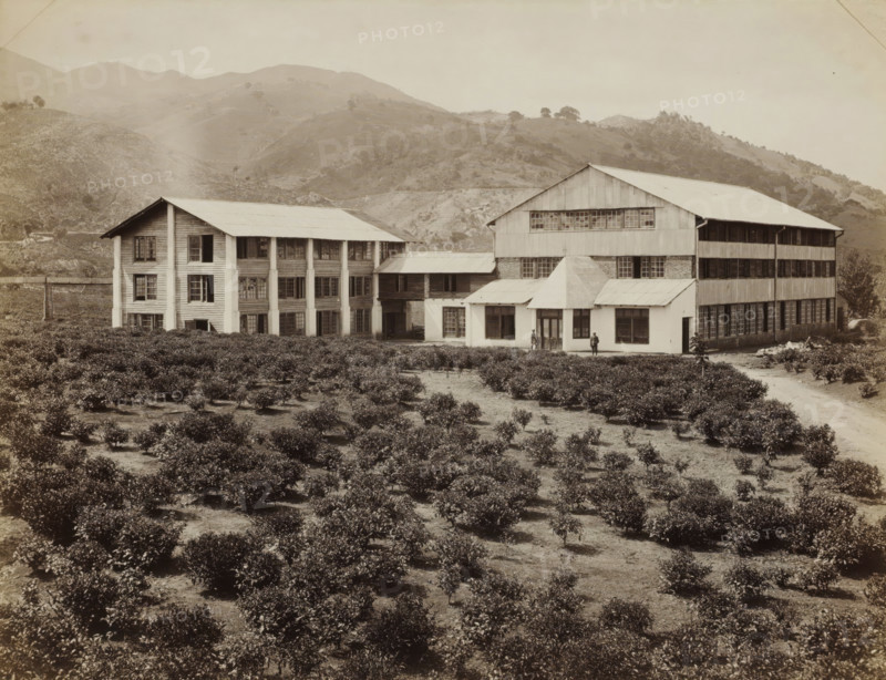 View of buildings and plantation of the Peradeniya tea factory in Ceylon, album page, photograph, Part of Album with 50 photos of a trip through Southeast Asia., photographer: attributed to Charles T. Scowen & Co., Kandy (former nation), c. 1875 - c. 1880, South Asia, Attributed to, paper, albumen print, height 217 mm x width 281 mm, plantation, A large multi-story building complex with pitched roofs sits near the base of rolling, sparsely vegetated hills; the complex includes a long rectangular structure with many windows, a connected narrower wing with evenly spaced vertical supports and windows, and a central entrance section with a small porch and glass doors flanked by windows; two people stand near the entrance area; in the foreground a field of low, bushy plants arranged in rows fills the scene, with a dirt path leading toward the building on the right; the hills behind the buildings rise gently with scattered shrubs and rocky outcrops under a pale sky.