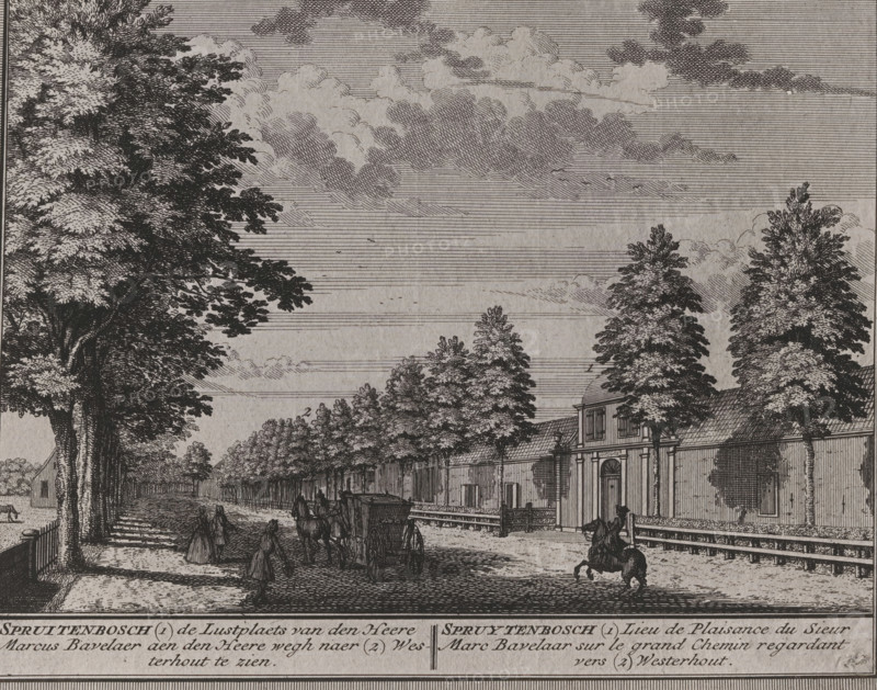 Photo reproduction of a print of a front view of the Spruitenbosch homestead in Haarlem by Hendrik de Leth, photograph, reproduction, number: ''22.51.', annotation: 'Heemstede', inscription: 'Spruitenbosch (1) de Lustplaets van den Heere Marcus Bavelaer aen den Heere wegh naer (2) Westerhout to be seen.', after print by Hendrik de Leth, 1900 - 1930, Hendrik de Leth, photographer, after print by, paper, gelatin silver print, developing gelatin silver print, height 172 mm x width 221 mm, street (city(-scape) with figures, staffage), Haarlem, A detailed black and white engraved street scene showing a tree-lined avenue with tall leafy trees on either side, a row of buildings with pitched roofs and a prominent doorway behind a fence on the right, horse-drawn carriages and riders on the road, several pedestrians in period dress walking along the avenue, a cobbled or textured street surface, parallel horizontal lines and shaded cloud formations in the sky, and a narrow border along the bottom...