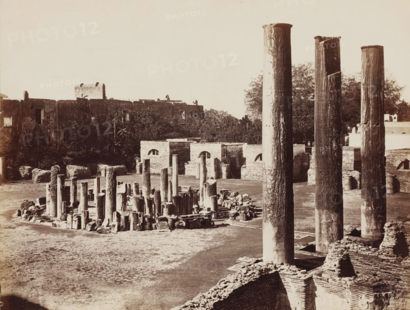 Ruins in Pozzuoli, Italy, Pozzuoli, photograph, inscription: 'Sommer (t)', collector's mark: 'VOSMAER', photographer: attributed to Giorgio Sommer, 1857 - 1914, Giorgio Sommer, photographer, Attributed to, pasteboard, paper, albumen print, height 251 mm x width 325 mm, ruin of a building, architecture, landscape with ruins, The image shows a sepia-toned view of an archaeological site with numerous tall cylindrical stone columns and many shorter broken column fragments scattered across a cleared ground area, with three very tall standing columns in the foreground on the right edge and a variety of ruined walls and arch openings behind the columns, dense vegetation and trees along the rear boundary, and a low, long masonry wall with small rectangular openings visible along the upper left background.