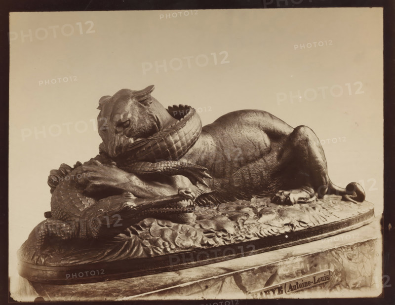 Image of a tiger devouring an alligator, by A. Barye, photograph, inscription: 'XI pl 9', c. 1875 - c. 1900, photographer, paper, pasteboard, albumen print, height 227 mm x width 286 mm, sculpture, beasts of prey, predatory animals: tiger, crocodiles: alligator, A sculpted scene showing a reclining big cat with textured fur and a lowered head, its neck encircled by a coiled reptile with scaly skin and visible claws, both animals resting on an ornate base with carved foliage and a rounded edge, photographed against a plain light background.