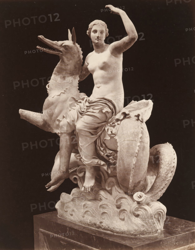 Museo di Napoli, Sculptur Nereide su pistrice, album page, photograph, This photo is part of an album., workshop stamp: 'Giorgio Sommer, Largo Vittoria, Napoli', number: '7532', photographer: Giorgio Sommer, Naples, 1874 - in or before 1879, paper, albumen print, albumendruk, height 254 mm x width 199 mm, sculpture, Nereids, daughters of Nereus, sea-nymphs, A pale marble statue of a partially draped female figure seated atop a large mythic sea creature with a long scaly tail and an open-mouthed head is set against a dark background, showing the figure with one arm raised and the other resting near the creature, detailed drapery around the hips and legs, exposed torso and classical facial features, the creature displaying textured scales and a ridged mane, the composition resting on stylized waves carved on a rectangular plinth.