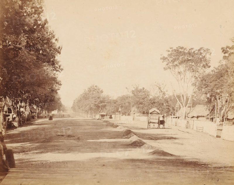 Street, Dutch East Indies ?, photograph, View of an unpaved road with a donkey cart, a series of shops, houses ? on the left, Dutch East Indies ?., c. 1880 - c. 1900, photographer, paper, pasteboard, albumen print, height 217 mm, width 267 mm x width 414 mm, height 321 mm, A wide, sunlit unpaved street lined with large trees on both sides stretches into the distance, with small thatched and wooden structures set back behind fences along the right side and open-fronted stalls and shelters beneath the trees on the left; a simple two-wheeled cart hitched to an ox stands near the right foreground beside a low pile of earth, and faint figures and shadows are visible along the shaded left side under the trees; the scene is sepia-toned with a high, pale sky occupying much of the upper frame.