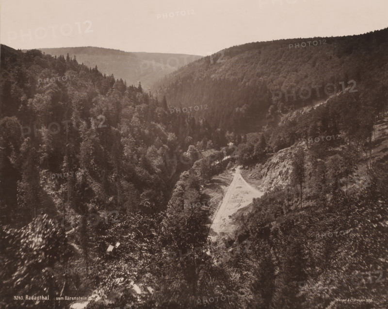 Radauthal vom Bärenstein', Harz, Germany, photograph, View of the Radauthal from a high vantage point, 'from Bärenstein'. Bärenstein is a place in the German state of Saxony, and is part of the Erzgebirgskreis district. However, the inscription 'vom Bärenstein' suggests that it concerns a mountain or rock., inscription: 'Stengel & Co., Dresden 1898.', number: '13.', inscription: '3243. Radauthal vom Bärenstein', publisher: Stengel & Co., photographer: Stengel & Co., 1898, Stengel & Co., publisher, photographer, paper, photoaquatint, heliogravure, height 225 mm, width 230 mm x width 457 mm, height 351 mm, A wide, sepia-toned landscape showing a deep valley flanked by densely forested hills, with a lighter, unpaved road or clearing running up the center of the valley toward the distant ridge; trees of varying heights and foliage cover the slopes, with rocky outcrops visible on the right-side slope and a few scattered open patches among the trees; the sky appears pale and empty above the ...