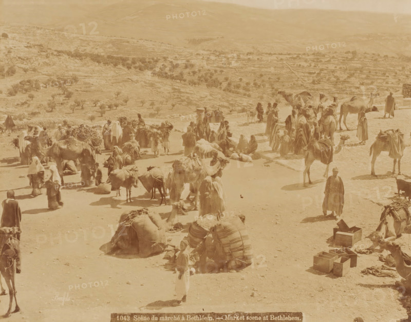 Market scene in Bethlehem, Jerusalem, Palestine, photograph, Palestine., inscription: 'Bonfils.', inscription: '1043 Scène du marché à Bethléem. - Market scene at Bethlehem', photographer: Maison Bonfils, c. 1850 - c. 1900, paper, albumen print, height 217 mm x width 277 mm, height 351 mm x width 397 mm, A sunlit open area with many people wearing long robes and head coverings gathered among several camels and pack animals, some animals standing and some lying on the ground, bundles and packed saddles placed nearby, groups of people standing, walking, or sitting in small clusters, a few wooden crates and boxes arranged on the ground, a distant hilly landscape with scattered trees and terraces visible in the background, and a dusty ground surface throughout the scene.
