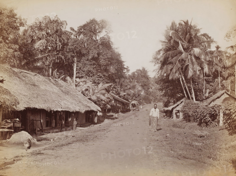 Veyangoda, Sri Lanka, photograph, Street with thatched houses on either side and a posing man with a horse and a folded umbrella., number: '1129', caption: 'Veangoda', name: 'Skeen & Co.', photographer: WLH Skeen & Co., c. 1870 - c. 1900, South Asia, paper, albumen print, height 205 mm x width 273 mm, A wide dirt road runs through a village with thatched-roof huts lining both sides, dense tropical trees and tall palm trees rising behind the huts, people standing or moving near the huts and along the road, a person in the foreground holding two long objects and facing the camera, simple wooden structures and open shoplike areas under the thatch, scattered small items on the ground, and foliage and undergrowth filling spaces between buildings.