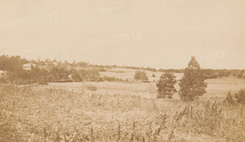 West Roxbury Park, photograph, page, photographer: Allen & Rowell, Boston (Massachusetts), c. 1878 - in or before 1883, North America, Massachusetts, paper, albumen print, height 113 mm x width 190 mm, public gardens, park, A wide sepia-toned rural landscape with a foreground of low vegetation and grassy field, middle ground rolling fields and scattered trees including a taller tree toward the right, and a distant tree line and small buildings partially visible among the trees on the left under a pale, empty sky.
