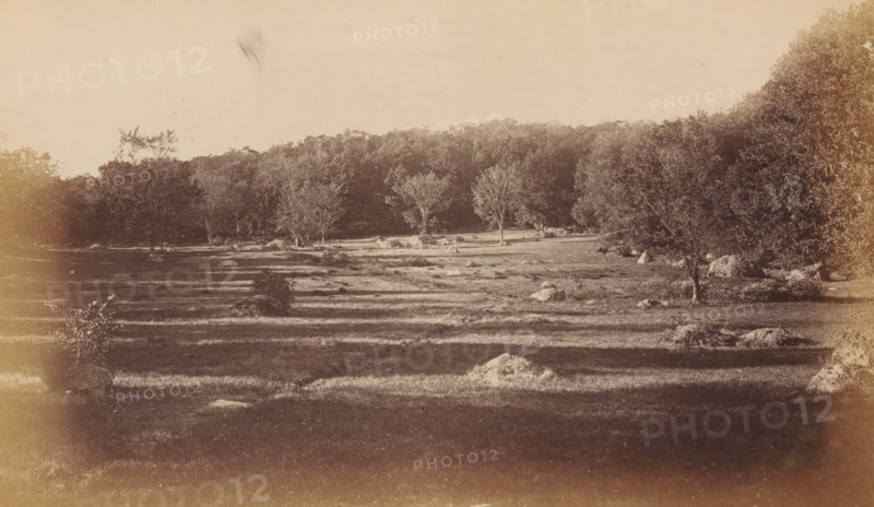West Roxbury Park, photograph, page, photographer: Allen & Rowell, Boston (Massachusetts), c. 1878 - in or before 1883, North America, Massachusetts, paper, albumen print, height 113 mm x width 190 mm, public gardens, park, A wide grassy meadow with patches of taller grass and scattered rocks and mounds extends across the foreground and middle ground, with long horizontal shadows banding the field; a line of trees with varied canopies borders the meadow and continues into a densely wooded hillside in the background, while individual trees with visible trunks stand nearer the center and right; the sky above is pale and mostly empty, and the overall image has a sepia tone with subtle darkened edges.