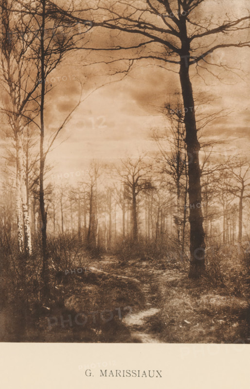 Landscape with trees, Sentiment d'Art en Photographie, photomechanical print, This print is part of 8 covers with 22 text sheets and 89 prints on loose sheets in and between the covers., number: 'Vol. II, No 1, Planche 2.', photographer: Gustave Marissiaux, clichémaker: anonymous, printer (person): Liorel & Cie., c. 1895 - in or before 1900-01, Gustave Marissiaux, Liorel & Cie., photographer, clichémaker, printer (person), paper, collotype, photogravure, height 219 mm x width 163 mm, landscapes, trees, A sepia-toned photograph of a forest scene showing tall, leafless trees with thin branches reaching across the sky, a narrow winding path cutting through low underbrush and ground vegetation, a misty or hazy atmosphere that softens details in the distance, darker tree trunks and lighter patches of sky creating contrast, and a pale border at the bottom with printed text centered within it.