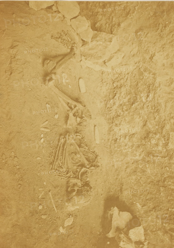 Human skeleton in the caves of Baoussé-Roussé, photograph, page, photographer: Anfossi & Radiguet, Provence-Alpes-Côte d'Azur, in or after 1872-03-26 - in or before 1873, Anfossi & Radiguet, photographer, paper, albumen print, height 162 mm x width 225 mm, cave, grotto, (human) skeleton, A sepia-toned overhead view of a partially excavated area showing scattered bones and rock fragments embedded in packed earth, with a long linear arrangement of skeletal elements including curved ribs and a skull near the center, clusters of small bone pieces and elongated bone shafts along the same line, irregularly shaped rocks and stones piled toward the top, and textured soil surfaces with areas of compacted and looser dirt filling the rest of the frame.