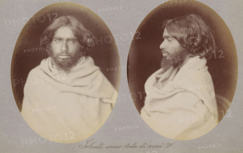 Selcodi, uomo toda di anni 20, Two portraits of Selcodi of the Toda tribe, photograph, page, photographer: Paolo Mantegazza, India, c. 1881 - in or before 1886, paper, albumen print, height 151 mm x width 241 mm, adult man (side view, profile), Two oval sepia-toned portraits side by side on a gray background depict the same bearded man wrapped in a light-colored draped cloth; the left portrait shows his face looking forward with medium-length wavy hair and a full beard, the right portrait shows his profile facing left with the same hair and beard and the draped cloth visible over his shoulders.