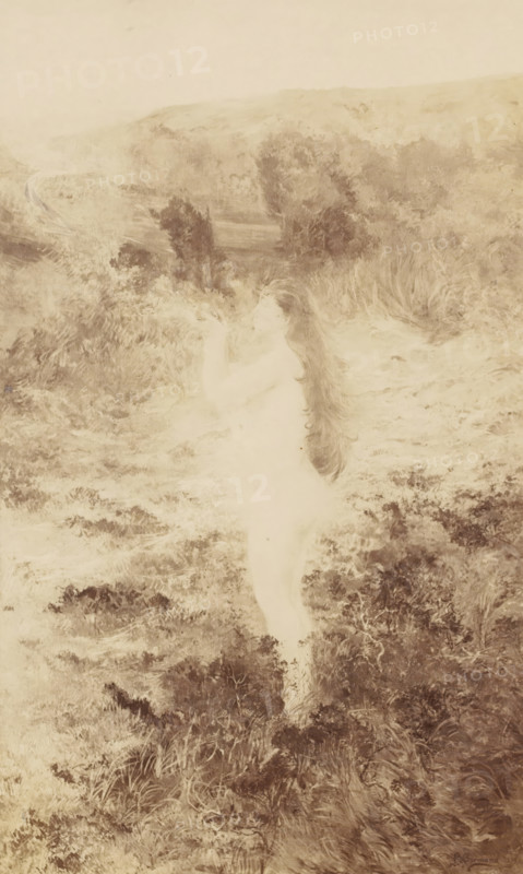 Photo reproduction of a female nude in a landscape, photograph, reproduction, Part of French artist album., inscription: 'Photographie ...michelez ...dass...', signature: '...', after design by Jean-Louis Brémond (attributed to), after design by Jean-François Brémond (attributed to), c. 1880 - c. 1900, Attributed to, pasteboard, paper, albumen print, albumen print on cardboard, height 222 mm x width 133 mm, standing figure - AA - female human figure, A sepia-toned scene shows a long-haired woman standing barefoot in grassy terrain, her body mostly light against darker vegetation; she faces slightly upward with arms raised near her face as if holding or observing something, and her flowing hair cascades down her back. Surrounding her are textured grasses, bushes, and low shrubs extending into a softly rendered hillside in the background, with a winding path partially visible at the upper left. The overall image has a soft, painterly quality with varied tonal shading and dense foliage de...