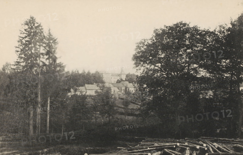 Landscape with Château de Vyle-Tharoul, Chateau de Vyle-Tharoul, page, photomechanical print, photographer: attributed to Victor Gaillard, Liège, cliché maker: attributed to Emile Aubry, Brussels, c. 1885 - in or before 1890, Attributed to, paper, collotype, photoprint, height 104 mm x width 157 mm, landscape with tower or castle, A sepia-toned landscape showing a wooded hillside with tall evergreen trees on the left and a large broadleaf tree on the right, a cluster of buildings with pitched roofs and a tower partially visible among the trees in the middle distance, and a foreground area with cut logs piled along the lower edge.