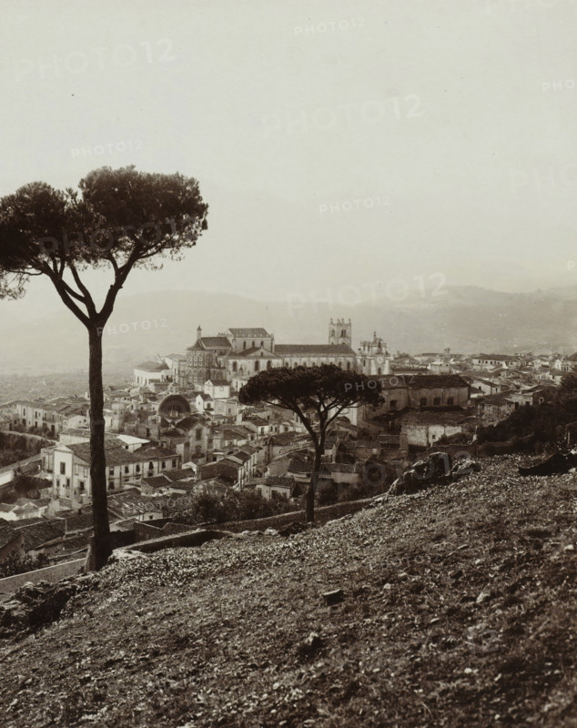 N. 244 Palermo Monreale panorama, Palermo Monreale, photograph, photographer: Giuseppe Incorpora, Palermo, Netherlands, c. 1893 - c. 1903, Sicily, paper, pasteboard, albumen print, albumen print on photo paper on cardboard in album, height 203 mm x width 257 mm, height 309 mm x width 507 mm, A sepia-toned hillside view overlooking a town with densely packed rooftops and narrow streets, two tall umbrella-shaped trees in the foreground with textured trunks and canopies, a large ornate cathedral or church with towers and arched windows rising above the surrounding buildings, a domed structure among the rooftops, rolling hazy hills in the distant background, and a rocky, uneven foreground slope scattered with small stones and sparse vegetation.