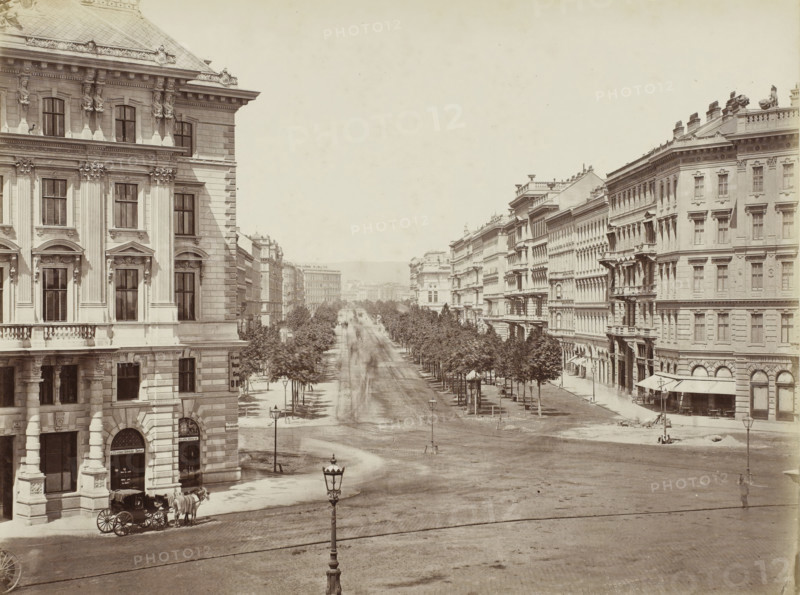 View of an Allee in Vienna, Wien, Vienna, Vienne, photograph, title, number: '20', signature, photographer: Oscar Krämer (signed by artist), c. 1870 - c. 1880, Lower Austria, paper, pasteboard, albumen print, albumen print on pre-printed cardboard, height 191 mm x width 255 mm, city-view in general, 'veduta', A wide street flanked by rows of trees runs between tall stone buildings with ornate facades and multiple windows; the left foreground shows a large corner building with columns, decorative sculptures, and arched ground-level openings where a horse-drawn carriage is parked; the right side features a long line of similarly styled multi-story buildings with balconies and awnings above ground-level entrances; lamp posts stand along the street and in the foreground, and a distant view along the avenue reveals more buildings fading into the background under a pale sky.