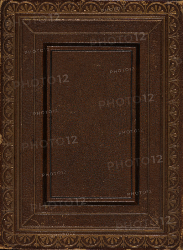 Yak, album page, photograph, Long-haired yak. Photo on an album page in an album with 68 photos, mostly with watercolor border decorations. They are mainly portraits in carte-de-visite format., England, 1865 - 1867, photographer, paper, paint (coating), pasteboard, watercolor (paint), albumen print, aquarelle, albumen print with painted border, height 160 mm x width 120 mm, hoofed animals: buffalo, A close-up view of a textured rectangular surface in a deep brown color with multiple recessed concentric panels and beveled edges, surrounded by a decorative border featuring repeating fan-shaped motifs in a slightly lighter brown or gold tone.