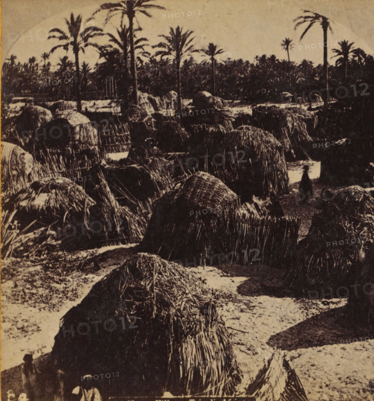 Negro Village, View of a village south of Tripoli, Views and landscapes in Europe, Africa and Asia, Geographical Sculpture Gallery, collected by MJ Broekhuijsen, Head of a school in Amsterdam, stereograph, Numbered C4. bottom left of photo, annotation: 'Africa', annotation: 'in the south of Tripoli, on the edge of the Sahara. A disorderly multitude, beehives under the palms.', Tripolitania, publisher: Merkelbach & Co., Amsterdam, compiler (person in literature): Martien Johan Broekhuijsen, c. 1905, photographer, compiler (person in literature), North Africa, Libya, pasteboard, paper, albumen print, height 87 mm x width 177 mm, Part of a group of 52 stereophotos used in primary education as a supplement to school charts. The entire series consisted of 274 items in 10 categories (A to K)., village, landscapes in tropical and subtropical regions, A sepia-toned scene showing clustered thatched huts made of straw or reeds with rough textures, tall palm trees rising behind the huts against a...