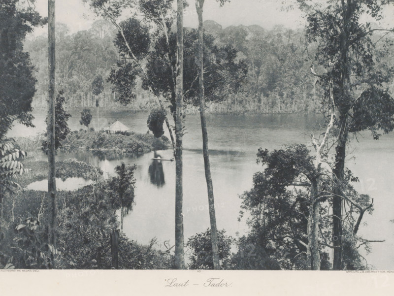 Laut - Tador, View of a river with relaxation at Laut Tador on Sumatra, photomechanical print, Part of Album with heliogravures of Sumatra's east coast., number: '45', photographer: Carl J. Kleingrothe, Sumatra, cliché maker: Johann Baptist Obernetter, Munich, in or before 1898, Carl J. Kleingrothe, Johann Baptist Obernetter, photographer, cliché maker, Bavaria, paper, photoaquatint, heliogravure, height 190 mm x width 285 mm, river, A riverside scene with a calm body of water bordered by dense forest vegetation, tall slender tree trunks rising in the foreground and framing the view, leafy branches and vines visible along the edges, a small thatched hut set close to the water on a grassy bank, an indistinct dark shape on the water that appears elongated, reflections of trees and foliage on the water surface, layered tree-covered hills or forest in the background under a muted sky.