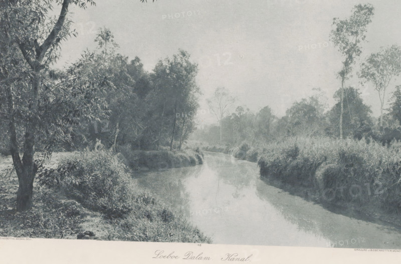 Loeboe Dalam Canal, Drainage canal at Loeboe Dalam on Sumatra, photomechanical print, Part of Album with heliogravures of Sumatra's east coast., number: '46', photographer: Carl J. Kleingrothe, Sumatra, cliché maker: Johann Baptist Obernetter, Munich, in or before 1898, Carl J. Kleingrothe, Johann Baptist Obernetter, photographer, cliché maker, Bavaria, paper, photoaquatint, heliogravure, height 177 mm x width 292 mm, small canal, ditch, A monochrome scene of a narrow winding waterway bordered by grassy, reed-lined banks and dense stands of trees and shrubs, with taller trees rising on both sides and branches and foliage overhanging the left foreground, the water reflecting the sky and nearby vegetation, and the landscape appearing calm and slightly misty.