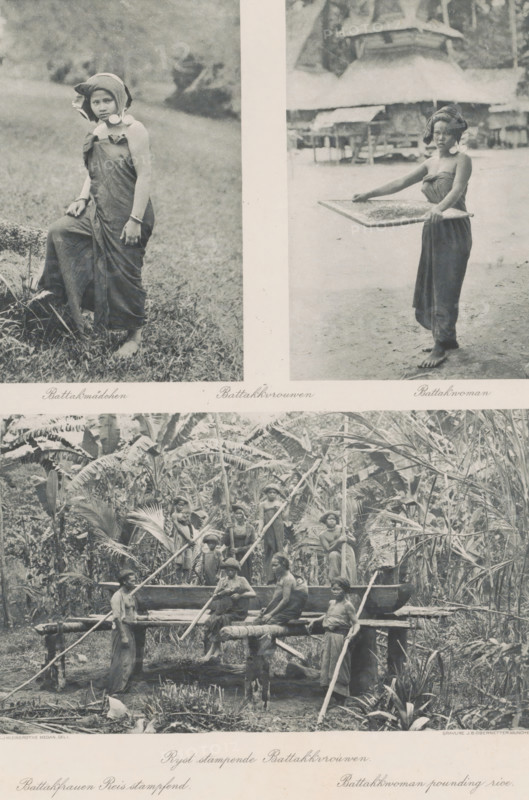 Batakk women (top), Rice pounding Batakk women (bottom), Two portraits of Batak girls (top) and group portrait of rice-pounding Batak women (bottom) on Sumatra, photomechanical print, Part of Album with heliogravures of Sumatra's east coast., number: '51', photographer: Carl J. Kleingrothe, Sumatra, cliché maker: Johann Baptist Obernetter, Munich, in or before 1898, Carl J. Kleingrothe, Johann Baptist Obernetter, photographer, cliché maker, Bavaria, paper, photoaquatint, heliogravure, height 157 mm x width 101 mm, height 157 mm x width 100 mm, height 130 mm x width 220 mm, adult woman, adolescent, young woman, maiden, A vertical composite image divided into three photographic scenes showing people in traditional dress outdoors; the top left shows a young person standing on grassy ground wearing a wrapped garment and a head covering with decorative circular ear ornaments, one foot resting on a rock and hands relaxed by the sides; the top right shows a person standing barefoot on a dirt ...