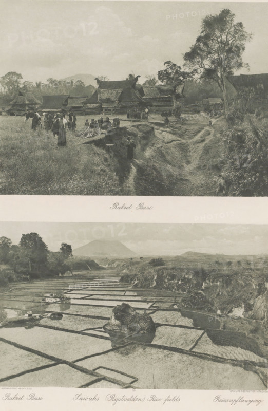 View of the Batak village Rakoet Bessi (above) and landscape with rice fields and volcano (below) on Sumatra, Rakoet Bessi (above), Sawahs (Rice fields) (below), photomechanical print, Part of Album with heliogravures of Sumatra's east coast., number: '58', photographer: Carl J. Kleingrothe, Sumatra, clichémaker: Johann Baptist Obernetter, Munich, in or before 1898, Carl J. Kleingrothe, Johann Baptist Obernetter, photographer, clichémaker, Bavaria, paper, photoaquatint, heliogravure, height 157 mm x width 220 mm, height 134 mm x width 220 mm, prospect of village, silhouette of village, volcano, sawahs, rice paddies, A sepia-toned composite image showing a village scene above and a landscape of terraced paddies below; the upper portion features traditional thatched-roof houses with curved rooflines set behind grassy areas and a dirt path, a group of people standing and sitting near the foreground with some carrying items and a few animals nearby, and trees framing the scene with a large...