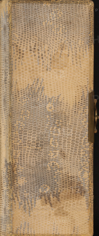 Photo album with 24 portrait photos, photograph album, slip-in album, Photo album with 7 sheets containing a total of 24 cartes-de-visite in passe-partouts framed with embossed decorations. Each album sheet contains two passe-partouts and has gold edges. Pictured are portraits of unknown men, women, and children. The photos were taken by various photographers, including Cornelis Johannes Lodewicus Vermeulen (5), Albert Greiner (4), and Henri de Paauw (3)., collector's mark: 'DIENST, VERSPREIDE, RIJKSKOLLEKTIES, A. 694, A 694', annotation: 'v. Beers Jan '68 f 10-, 24 photos, 72', compiler (person in literature): anonymous, photographer: various makers, 1860 - 1900, compiler (person in literature), paper, leather, pasteboard, biological material, inorganic material, snakeskin, metal, daylight collodion silver print, albumen print, color on edge, gold print, cardboard slip-in album, covered with gray and light brown snakeskin with border printed in gold on the front cover, clamp and clamp...
