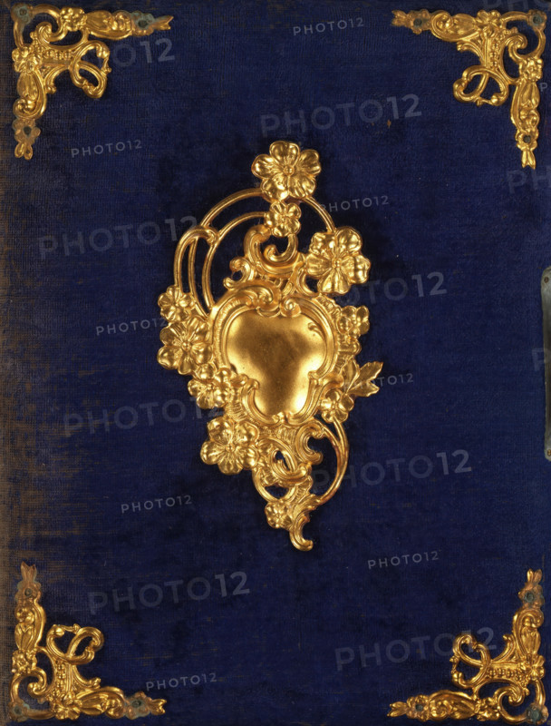 Photo album (empty), photograph album, slip-in album, Photo album with 24 pages with on each page either a passe-partout framed with gold lines for a cabinet photo, or four passe-partouts framed with gold lines for cartes-de-visite. In total, the album has space for 8 cabinet photos and 64 cartes-de-visite., collector's mark: 'DIENST, VERSPREIDE, RIJKSKOLLEKTIES, A 704', 1860 - 1900, textile materials, pasteboard, velvet (fabric weave), inorganic material, paper, plush, metal, color on edges, cardboard insert album covered with blue plush with four decorated corners and a decorated metal ornament on the front cover, metal clasp, cardboard pages with gold edges, height 259 mm x width 207 mm x thickness 50 mm x width 394 mm, A deep blue textured background with ornate gold decorative elements, including a large central gold ornate motif composed of scrolling shapes and flower forms, and matching gold corner embellishments with intricate scrollwork and floral details.