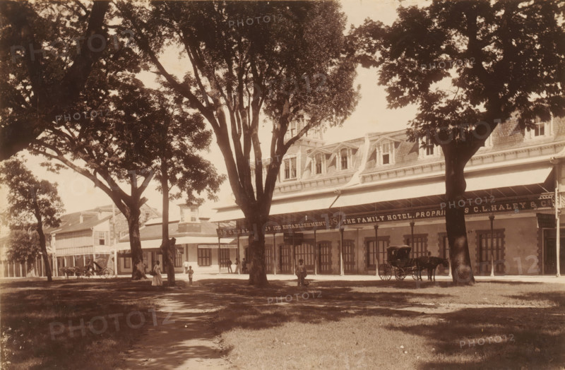Street view with ice cream shop and Family Hotel in Port of Spain, album page, photograph, This photo is part of an album., inscription: 'Port of Spain', Trinidad (Trinidad and Tobago), 1880 - 1900, photographer, paper, albumen print, height 347 mm x width 297 mm, shop, store, hotel, hostelry, inn, street (city(-scape) with figures, staffage), A sepia photograph of a tree-lined street with large leafy trees in the foreground casting shadows on a grassy verge and a dirt path, a row of two-story buildings with awnings and decorative roof dormers along the street behind the trees, several people standing or walking near the buildings, and a horse-drawn carriage parked at the curb.