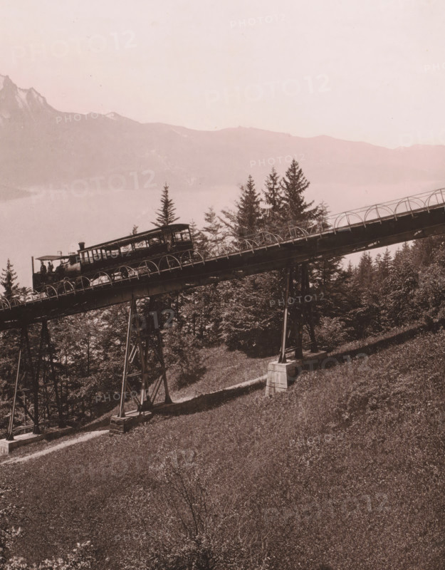 Rigi Railway (Schnurtobel Bridge), View of the Rigi Railway bridge with mountains in the background, album page, photograph, This photo is part of an album., annotation: 'Rigi Railway', number: '99.', c. 1885 - in or before 1892-05-04, photographer, paper, albumen print, height 210 mm x width 272 mm, railway, train, mountains, A sepia-toned photograph shows an elevated wooden walkway supported by metal and wooden trestles extending across a grassy hillside, with curved railings along its sides and a small covered viewing platform on the walkway. Pine trees rise beneath and around the structure, and a path runs along the slope beside the support columns. In the background there are faint outlines of mountain peaks beneath a pale sky, and the foreground shows textured grass and scattered low shrubs.