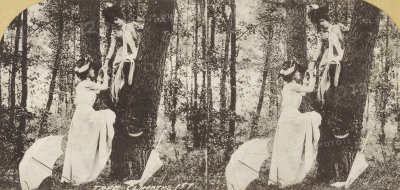 Tree Climbers, Scene with two people climbing a tree, photomechanical print, stereograph, number: '157', retailer's mark: 'JK', cliché maker: anonymous, publisher: LS and Co., London, 1870 - 1890, LS and Co., photographer, cliché maker, publisher, paper, pasteboard, collotype, photoprint, height 89 mm x width 179 mm, adult woman, adult man, trees, A sepia-toned stereo photograph of two women in a wooded area, shown twice side-by-side. One woman is seated on the ground near a tree base wearing a long light-colored dress and a headpiece, reaching up with both hands. The other woman is positioned higher on the tree trunk, dressed in a light blouse and skirt with a sash, leaning slightly forward and grasping the hands of the seated woman. Two open parasols lie on the ground near the seated woman. Tall trees and foliage fill the background.