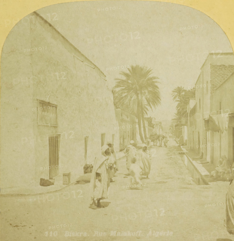 Biskra. Rue Malakoff. Algeria, Street scene in the Rue Malakoff, Biskra, stereograph, number: '27358', number: '110', photographer: JG Beers, publisher: Nederlandsche Stereoscoop Maatschappij, Amsterdam, 1868 - 1890, North Africa, pasteboard, paper, albumen print, height 87 mm x width 179 mm, street, A faded street scene showing tall palm trees lining a narrow road between two rows of plain buildings with stucco walls and small windows, several people wearing light clothing and head coverings walking or standing along the street, a person in the foreground carrying an object and another person bent over, some indistinct items and bundles resting near building walls, and a distant figure leading a laden animal further down the street.