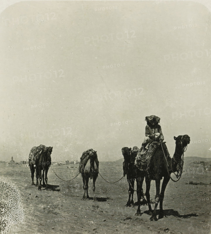 Caravan in the desert near Cairo, Cairo. Karawane in der Wüste, stereograph, number: '92', Cairo (city), publisher: Neue Photographische Gesellschaft, Steglitz, 1909 - 1935, photographer, Ottoman Empire, North Africa, paper, baryta paper, gelatin silver print, developing gelatin silver print, height 87 mm x width 180 mm, hoofed animals: dromedary, A sepia-toned photograph showing a line of camels walking across a barren plain, each camel tethered to the next and bearing heavy, textured packs and ropes; a rider wearing layered clothing and a head covering sits atop the leading camel, holding a long stick, while distant low buildings and a faint tower appear near the horizon under a large, mostly empty sky.