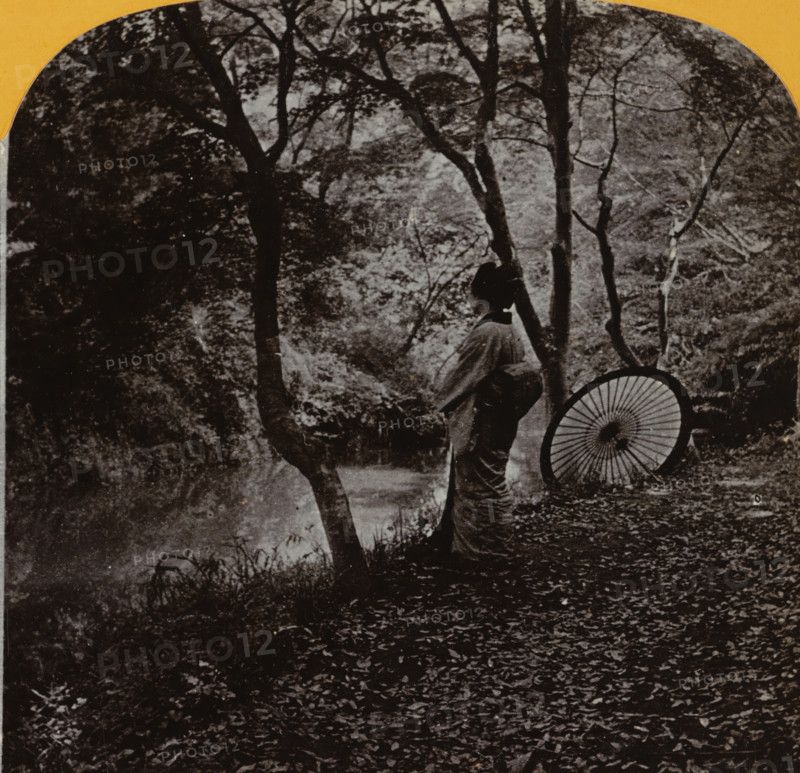 Woman with parasol in forest setting, Japan, stereograph, 1890 - 1910, photographer, paper, pasteboard, baryta paper, daylight gelatin silver print, height 88 mm x width 174 mm, adult woman, forest, wood, A sepia-toned scene of a person standing near trees beside a body of water, the person seen in profile wearing traditional clothing and holding a closed umbrella, a large open parasol with visible radial ribs rests nearby, tree trunks and branches fill the upper portion of the image with scattered leaves on the ground and reflections in the water, and rounded darker foliage and undergrowth frame the scene.