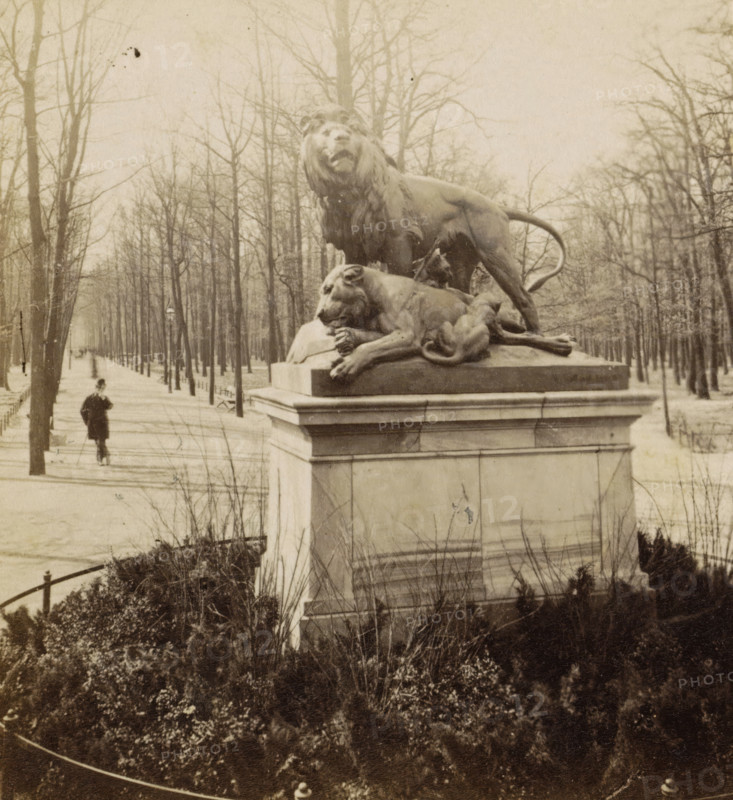 Group of lions in Tiergarten, Statue with a group of lions in Tiergarten, Berlin, stereograph, inscription: '30f', number: '216.', after sculpture by anonymous, 1873 - 1890, photographer, after sculpture by, pasteboard, paper, albumen print, height 87 mm x width 176 mm, monument, statue, public gardens, park, Tiergarten, A stone pedestal topped by a sculptural group of large lions occupies the foreground, with one lion standing and another reclining beside it on a raised platform; leafless trees line a wide paved promenade that extends into the background, where a man wearing a dark overcoat and hat walks along the path; lamp posts and low fences run alongside the walkway, and shrubs and bare plants fill the area around the pedestal.