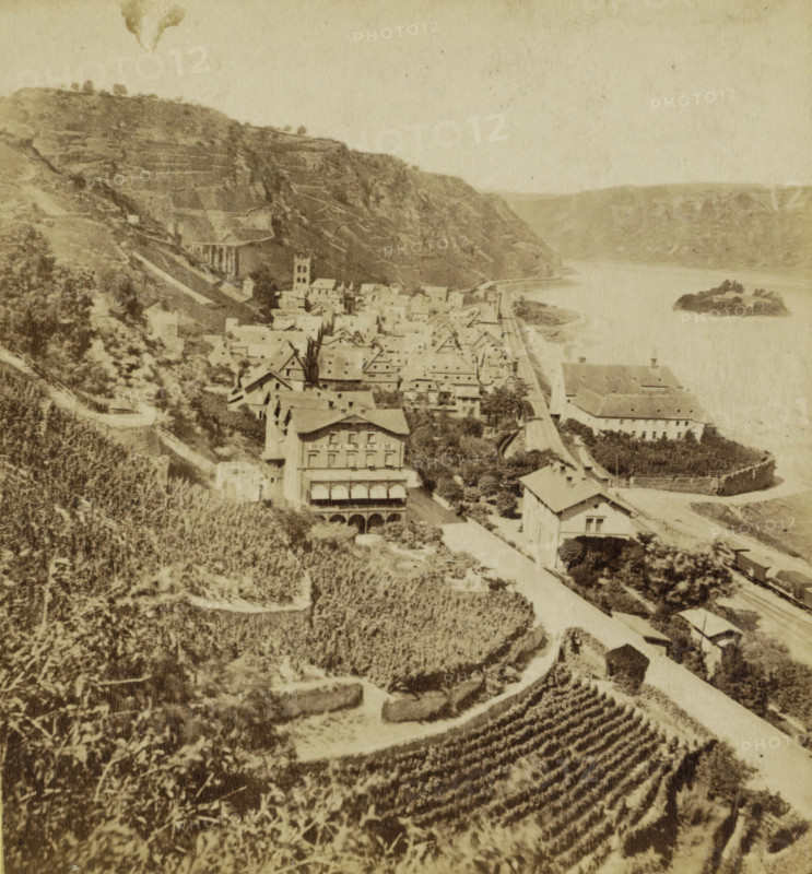View of Bacharach, Germany, Bacharach, Der Rhein und seine Umgebung, The Rhine and his environ, stereograph, photographer: Anselm Schmitz, 1877, Rhineland-Palatinate, pasteboard, paper, albumen print, height 88 mm x width 178 mm, village, dale, valley, A sepia-toned scene showing a hillside town beside a wide river with steep terraced slopes rising behind the cluster of buildings; rows of pitched-roof houses and larger multi-story structures line a narrow road that runs parallel to the river, and a tower-like building stands among the rooftops; an island of rock sits in the river near the middle right, while terraced vineyards or cultivated plots cover the foreground slope with winding paths and stone walls; trees and shrubs dot the hillside and village, and a few larger buildings with arched openings are visible close to the riverbank.