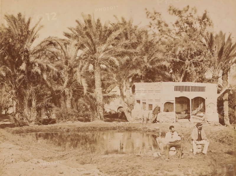 Three men, sitting and standing by a pond surrounded by palm trees, photograph, number: 'No 72', inscription: 'BFK Rives', 1851 - 1900, photographer, pasteboard, paper, albumen print, height 348 mm x width 454 mm, adult man, trees: palm-tree, pond, pool, A sepia-toned scene showing dense clusters of tall palm trees and other foliage occupying the left and center background, with a single-story building with an open veranda and arched openings at the right center partially obscured by vegetation, a person leaning against the building near the veranda, and two seated people in the foreground near the edge of a reflective body of water.