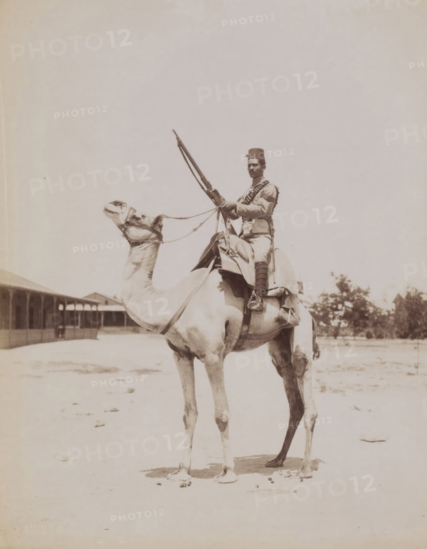 Soldier on a camel, presumably in Egypt, photograph, Egypt, 1860 - 1900, photographer, North Africa, paper, albumen print, height 275 mm x width 211 mm, the soldier, the soldier's life, hoofed animals: camel, camel, A sepia-toned photograph of a man seated on a camel; the man wears a brimless hat and a uniform with a bandolier across his chest and holds a long rifle upright; the camel is outfitted with a saddle, straps, and reins and stands on a sandy surface; a low building with a covered walkway appears in the background to the left and some trees and vegetation are visible to the right.
