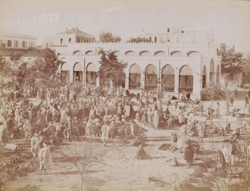 Tunis, marché Arabe, Market in Tunis, photograph, number: '354', photographer: Neurdein Frères, 1863 - 1900, North Africa, paper, albumen print, albumendruk, height 208 mm x width 273 mm, market, A wide sepia-toned scene shows a large two-story building with a row of arched openings on each level and decorative crenellations along the roofline, flanked by trees and smaller structures behind it; the lower arches have curtains or shutters and wrought-iron railings, while the upper arches are open. In front of the building a crowded outdoor area contains many people wearing long robes and head coverings, standing, walking, sitting, or gathered in groups among piles of goods and vegetation; vendors and bundles are scattered across the ground and a horse-drawn cart is visible to one side. Sparse trees and small plants dot the foreground, and figures of different postures fill the space between the plants and the building, creating a busy market atmosphere.