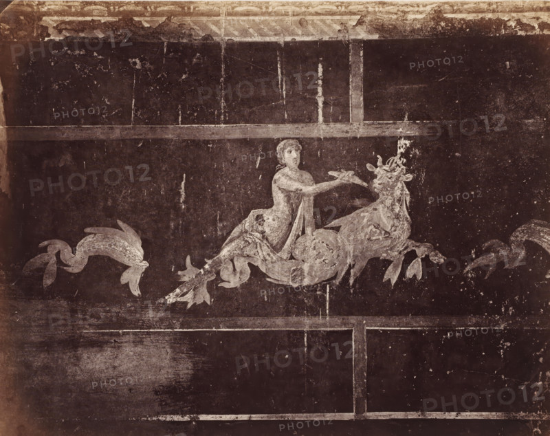 Photo reproduction of a fresco in Pompeii, Italy, photograph, reproduction, number: '76.', number: '11', inscription: 'Peinture à Pompei', Pompeii, after painting by anonymous, 1851 - 1900, photographer, pasteboard, paper, albumen print, height 306 mm x width 402 mm, picture, painting, wall-covering, A worn mural panel shows a pale, partially faded figure reclining on a mythic animal with hooves and a horned head, the figure extending an arm forward toward the animal. The creature and figure are rendered in a lighter tone against a dark, textured background marked by vertical and horizontal bands and visible scratches and scuffs. Decorative leafy scroll elements extend from either side of the central scene, and the surface displays mottled patches of wear and areas where the paint has flaked. The overall palette appears subdued with high contrast between the pale figures and the dark field.