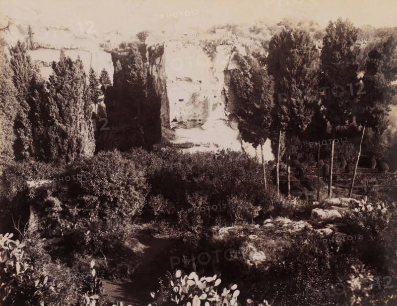 Latomie Casale, View of the Latomie Casale in Syracuse, Sicily, Siracusa, photograph, number: '8701', number: '2655', photographer: Giorgio Sommer, Syracuse (city), 1857 - 1914, pasteboard, paper, albumen print, height 200 mm x width 252 mm, quarry, A sepia-toned landscape photograph showing a rocky cliff face framed by tall, narrow evergreen trees and dense scrubby vegetation in the foreground, with several slender tree trunks rising from the midground and rounded bushy shapes dotting the scene, scattered rocks and low plants across the ground, and a bright pale vertical rock formation contrasted against darker shaded foliage.