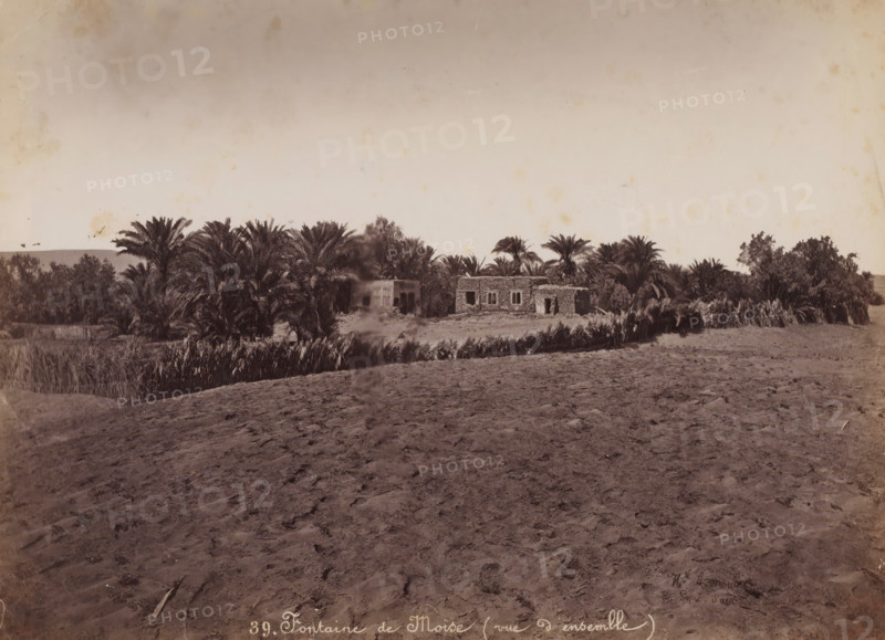 View of the Moses Fountain near Suez, Fontaine de Moïse (vue d'ensemble), photograph, number: '39.', Suez, 1860 - 1900, photographer, North Africa, paper, albumen print, height 202 mm x width 280 mm, well, Moses Fountain, A sepia-toned landscape showing a foreground of textured sandy ground leading to a narrow strip of taller vegetation and a cluster of dense palm trees, behind which low stone buildings with rectangular openings are partially visible, all beneath a wide pale sky with faint discoloration.