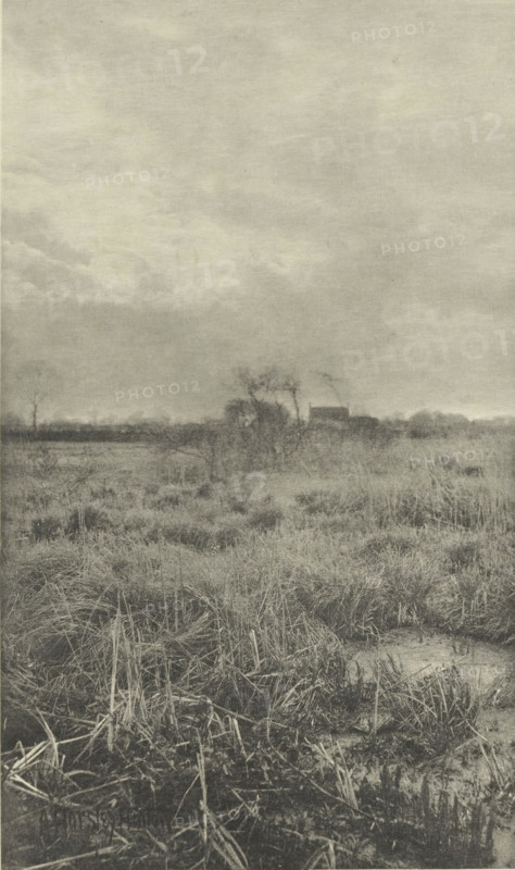 Gladden and Bent', Heathland landscape, photomechanical print, photographer: Alfred Horsley Hinton, cliché maker: Fillon & Heuse, printer (person): Charles Wittmann, Paris, c. 1891 - in or before 1896, Alfred Horsley Hinton, Fillon & Heuse, Charles Wittmann, photographer, cliché maker, printer (person), paper, photoaquatint, height 209 mm x width 124 mm, plain, A monochrome scene showing a flat marshy landscape with tall grasses and reeds in the foreground, their stems and tufts tangled and bending. Further back the vegetation becomes sparser, with low mounds and patches of wet ground visible. Near the middle distance a stand of bare or sparsely leaved trees and shrubs rises above the marsh, and behind them a small building with a sloped roof is partly obscured. The sky occupies a large portion of the image, with layered, diffuse clouds creating a soft, overcast appearance.